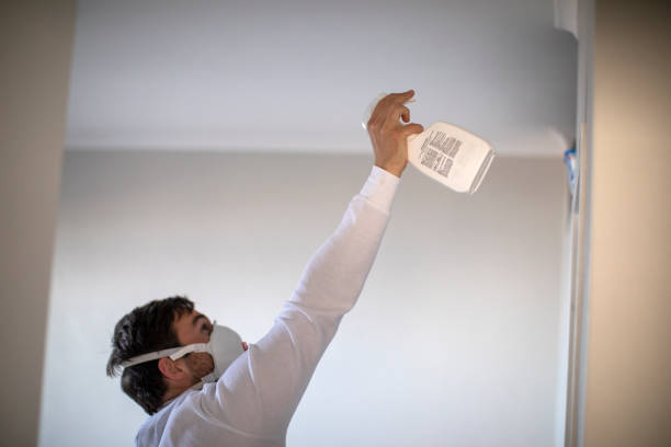 Best Residential Mold Removal  in Paducah, KY