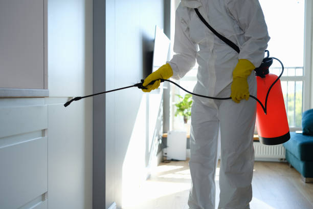 Best Mold Damage Repair  in Paducah, KY