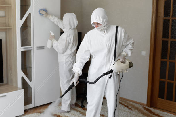 Best Mold Removal Process  in Paducah, KY