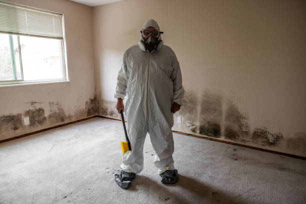 Best Office Mold Removal Services  in Paducah, KY